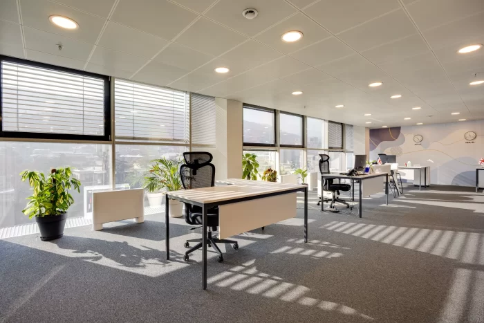 Open Space ოფისის დიზაინი და კედლის მხატვრობა აბსტრაქტული ფორმებით