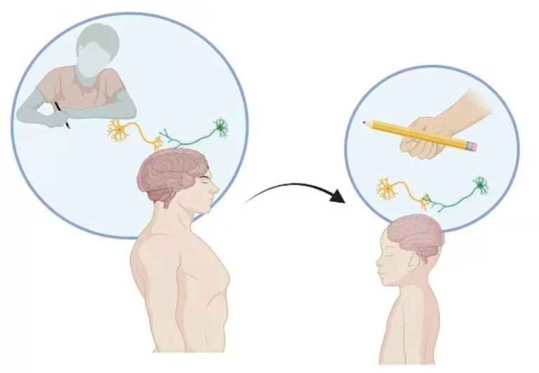 გარემოს ზემოქმედება ბავშვის კოგნიტურ განვითარებასა და ნეირონულ კავშირებზე.